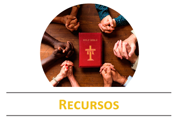 Recursos fundacion ZEF