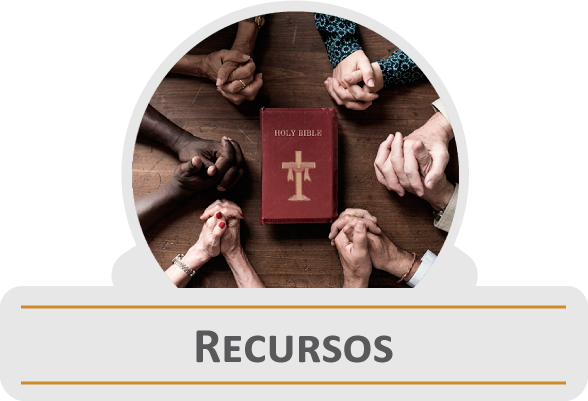 Recursos fundacion ZEF